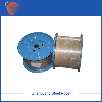 Aliquam aircraft cable